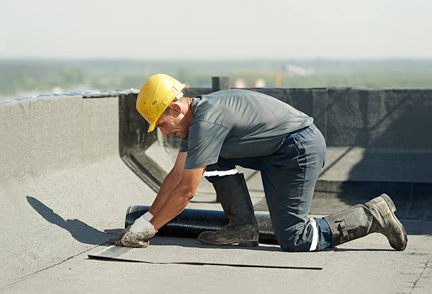 Best Cellulose Insulation in Bayshe, OR